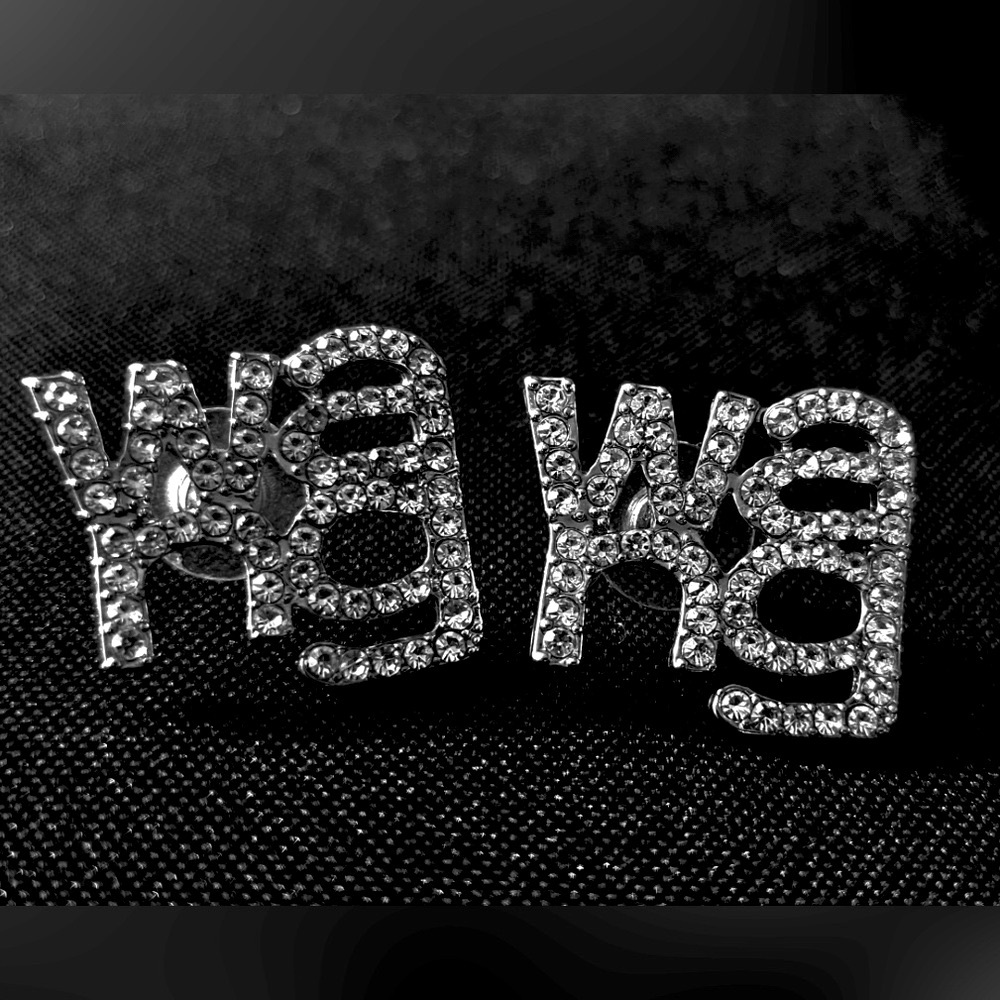 Alexander Wang Beautiful Silver Zircon Stud Earrings